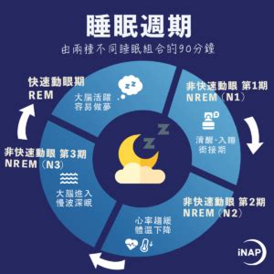 睡覺|怎麼知道自己睡得好不好？了解睡眠週期、4大睡眠階段